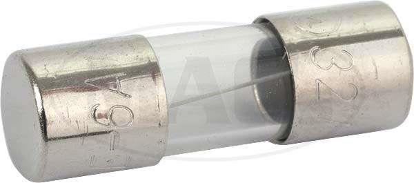 Electrical Fuse, Glass Tube, 6 Amp, 1/4 in. Dia. x 3/4 in. Long, Sold as Set of 5