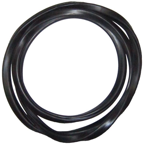 Rear Window Weatherstrip Seal