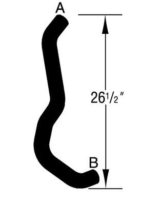 Curved Radiator Hose