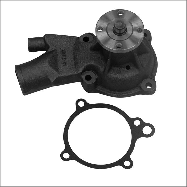 Water Pump Standard-volume, Iron, Natural