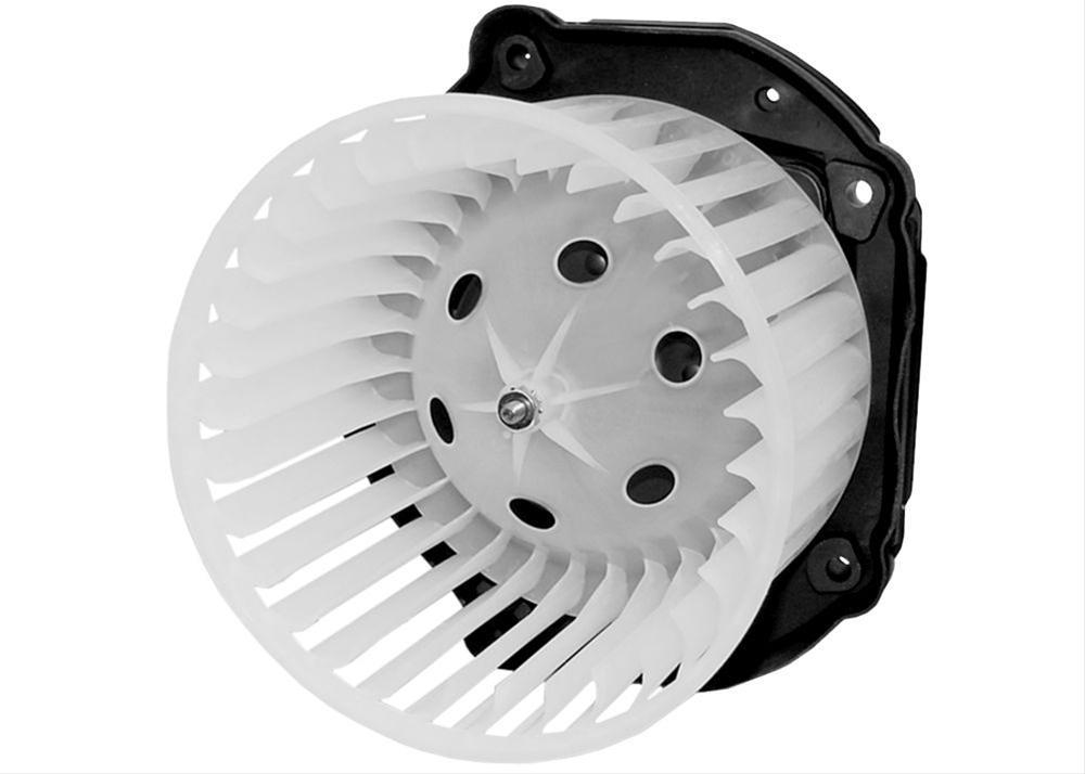 Blower Motor