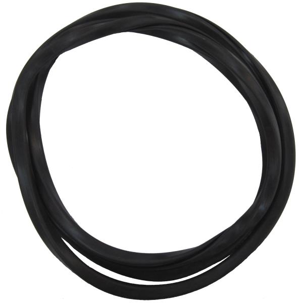 Windshield Weatherstrip Seal