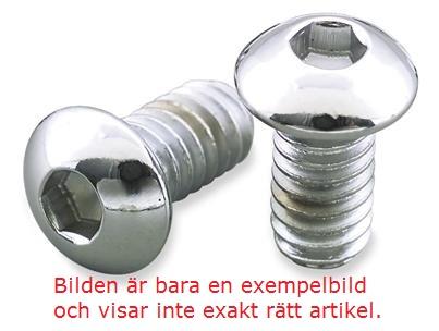 bult 1/4-20"