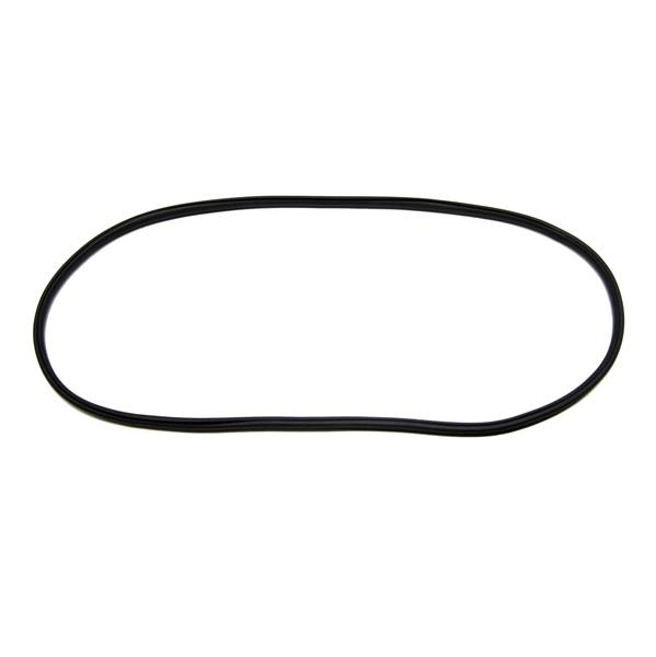 Windshield Weatherstrip Seal