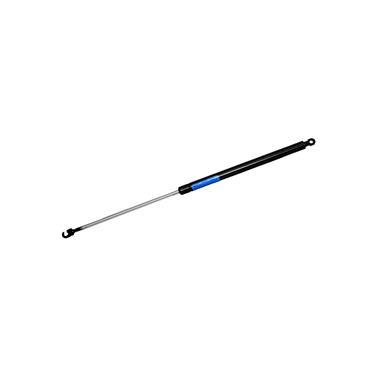 Max-Lift Support Strut, Trunk