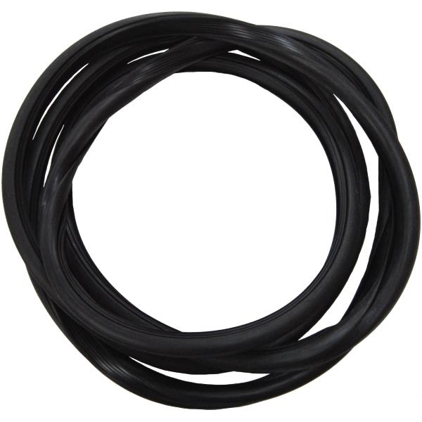 Windshield Weatherstrip Seal