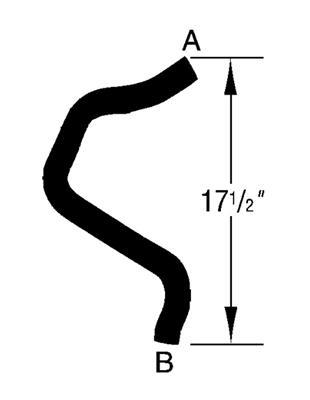 Curved Radiator Hose