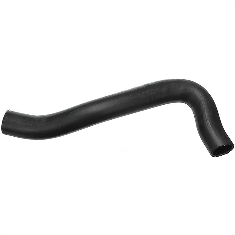 Lower radiator hose