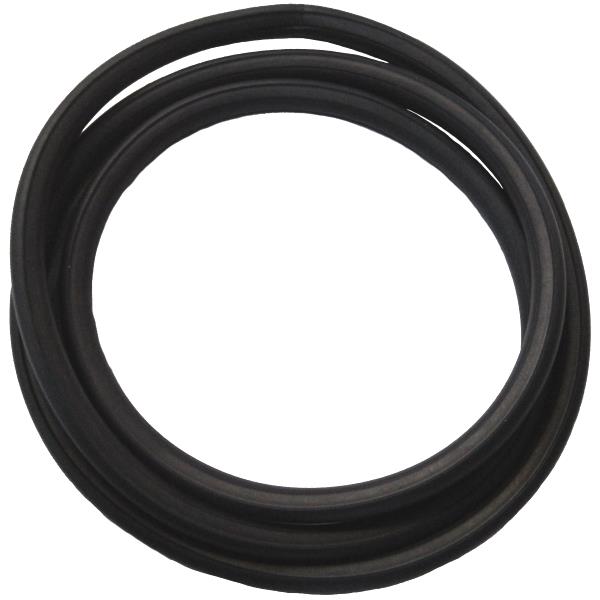 Windshield Weatherstrip Seal