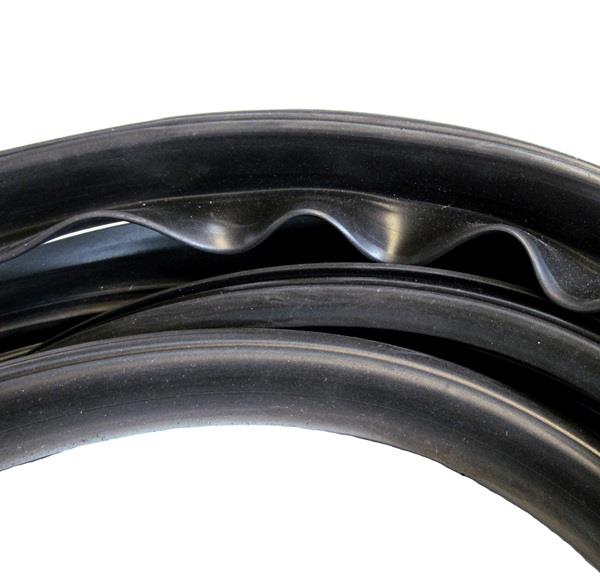 Windshield Weatherstrip Seal