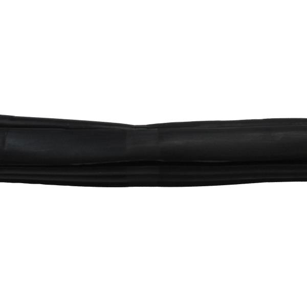 Windshield Weatherstrip Seal