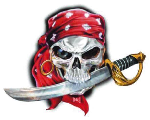 AutoTattoo Pirate Skull 11x9cm