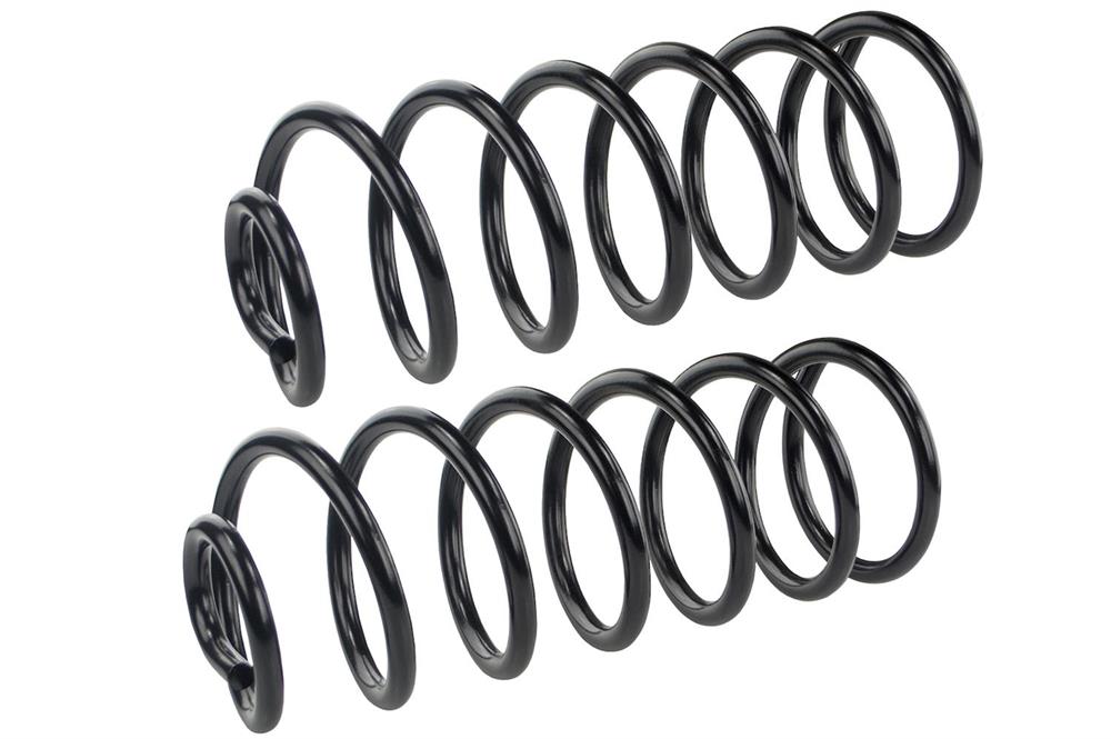 Coil Springs Rear