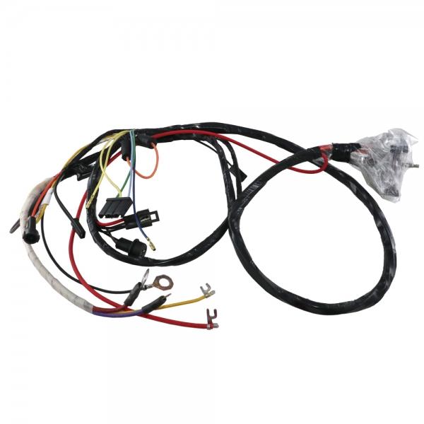 Lectric Limited Engine Wiring Harness, VIG6800
