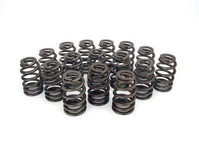 Valve springs 16 pc