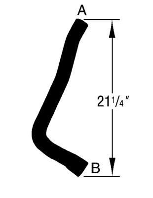 Curved Radiator Hose