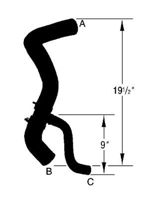 Curved Radiator Hose