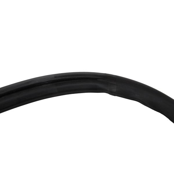 Windshield Weatherstrip Seal