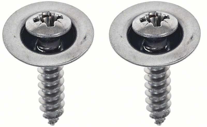 License Lamp Lens Screws