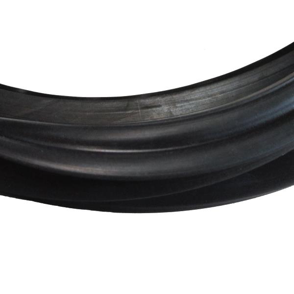 Windshield Weatherstrip Seal