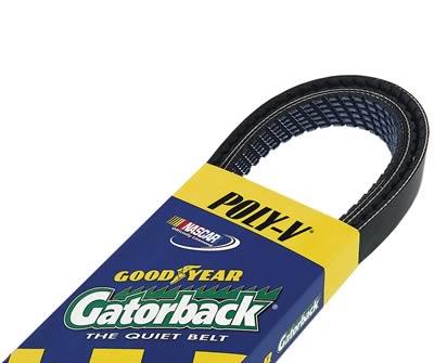 Drive Belt 42,75" 6-rib Polly-V Serpentine Gatorback