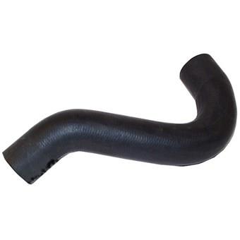 Radiator Hose Lower