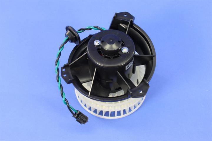 Blower Motor