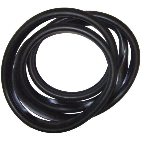 Windshield Weatherstrip Seal