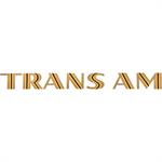 "TRANS AM" spoiler decal gold/yellow/black