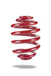 Stock Height Springs, Rear, Coil, Red Powdercoated, Pontiac, Each