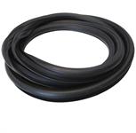 Windshield Weatherstrip Seal