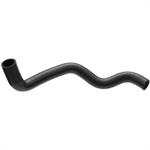 Lower Radiator Hose