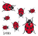 Sticker Lady Bug - 11x10,5cm