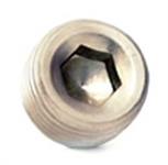 Fitting, Internal Allen Head Pipe Plug, 1/2 in. NPT, Stainless Steel, Natural
