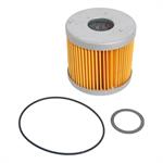 Fuel Filter Element, Gasoline, Paper, 40 Micron, Replacement