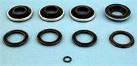 Rear Brake Caliper Lip Seal Repair Kit