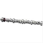 Camshaft, Hydraulic Roller, Advertised Duration 304/308, Lift .595/.595, Lobe Sep. 110, Small Ford, 5.0L, Each