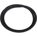 Rear Window Weatherstrip Seal