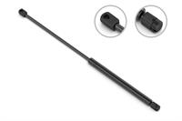 Trunk Lift Support,Conv,93-02