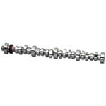 Camshaft, Hydraulic Roller, Advertised Duration 286/294, Lift .542/.563, Lobe Sep. 112, Small Ford, 5.0L, Each