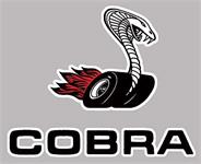 Exterior Decal, "Cobra Snake", Right Side and Deck