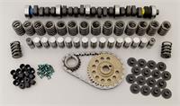 Cam, Lifters, Valvetrain, Hydraulic Flat Tappet, Advertised Duration 262/270, Lift .493/.512, Ford, 351W, Kit
