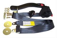 Seat Belt, Front, Shoulder and Lap Belt Type, Black