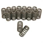 Valve Springs, Single, 1.290 in. Diameter, 318 lbs./in., 1.140 in. Coil Bind Height, LS, Set of 16