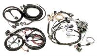 Cable Harness 12 Circuits