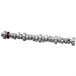 Camshaft, Hydraulic Flat Tappet, Advertised Duration 284/290, Lift .480/.495, Lobe Sep. 110, Small Chevy, Each