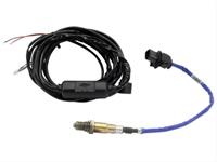 Oxygen Sensor, Single Channel, Wideband Control, 0-5V