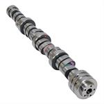 Camshaft, OE, Hydraulic Roller Tappet, Stock RPM