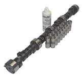 Camshaft Kit, Stock Replacement, Hydraulic Flat Tappet, 194 Int/202 Exh, Lifters Included