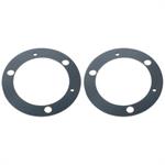 Taillight lens gasket